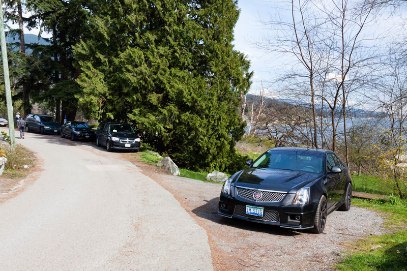 Illustration for article titled Pics from the Curbside: 2016-03-26 around Caulfeild Park, West Vancouver